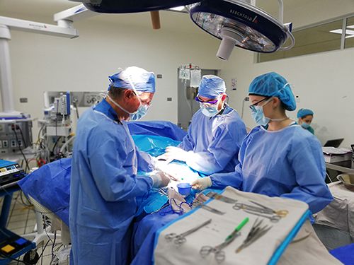 Cirugía implante prótesis pene