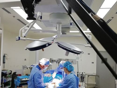 Transmisión en vivo cirugía prótesis pene