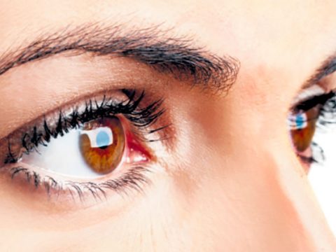 Miopía en Colombia, 20 años de investigación