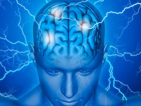 -ECP- Sincronizando circuitos en el cerebro