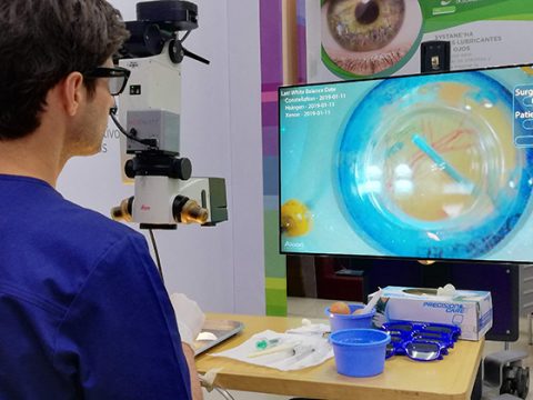 XII Curso Internacional de Oftalmología: Alta tecnología en laboratorios experimentales